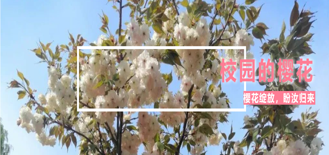 /images/2020-04-24/9a02dce6c13adaefffdd6b15e8fd02e3.png